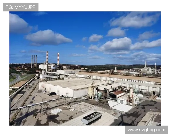 那不勒斯足球俱乐部崛起之路：从低谷到巅峰的辉煌历程与未来展望